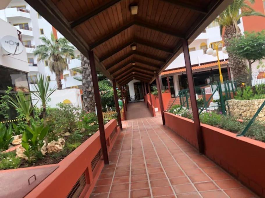 Praia Da Rocha - Charming Guest House Portimao Ngoại thất bức ảnh